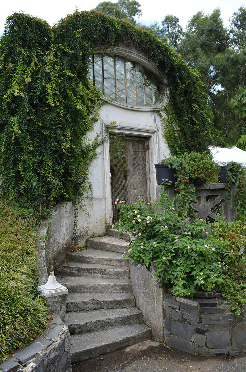 Sendero verde y plantas en el Jardín Botánico de Batumi, cerca del mar Negro