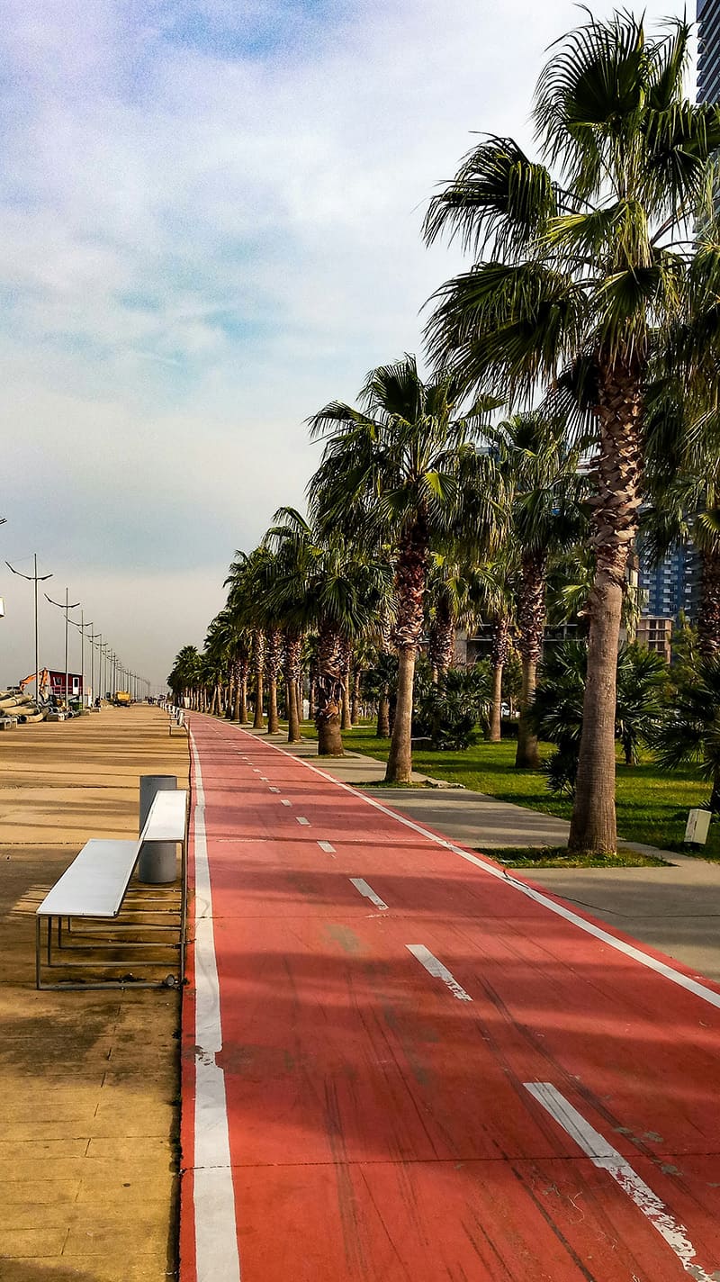 El bulevar de Batumi, con carril bici y palmeras a lo largo de la costa