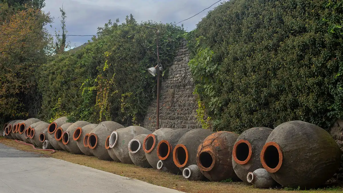 Paisaje de la región vinícola de Kakheti en una excursión desde Tiflis