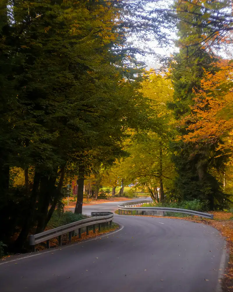 Quiet countryside road in Georgia for road trip planning