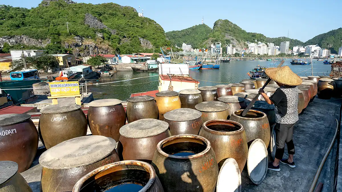 Escena de puerto local en la isla de Cat Ba, Vietnam