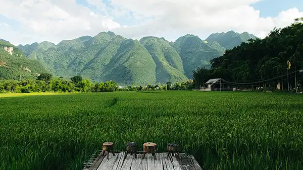 Arrozales y montañas verdes en Mai Chau, Vietnam