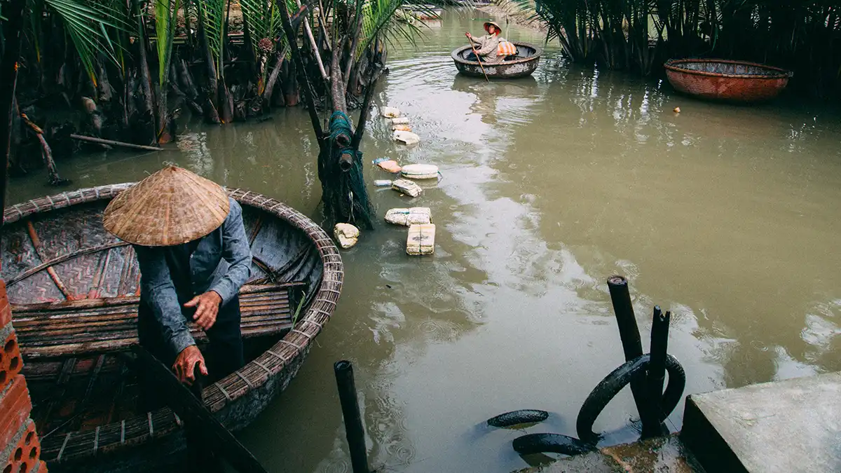 Basket boats in the coconut palm waterways near Hoi An