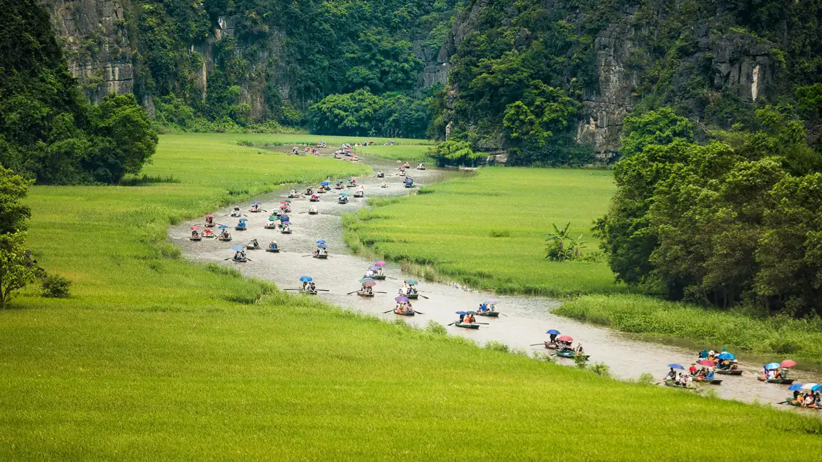 Boats on the Tam Coc river beside rice fields and limestone cliffs in Ninh Binh