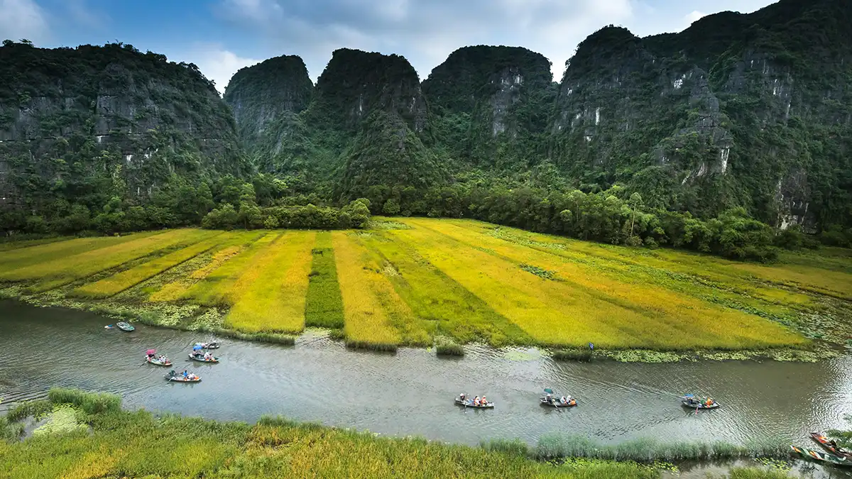 Boats moving through Tam Coc rice fields below limestone mountains in Ninh Binh
