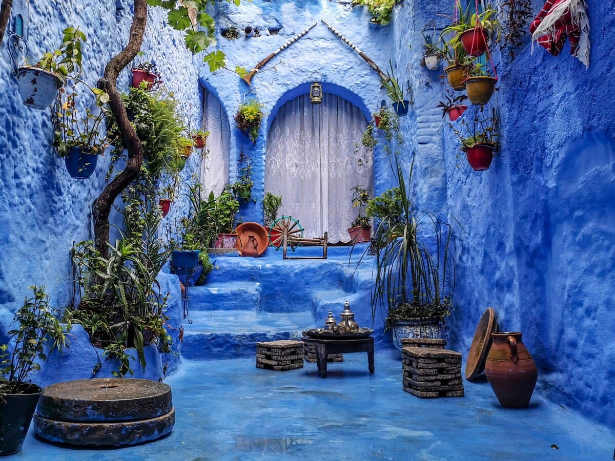 Blue painted alley with plants and traditional details in Chefchaouen Morocco