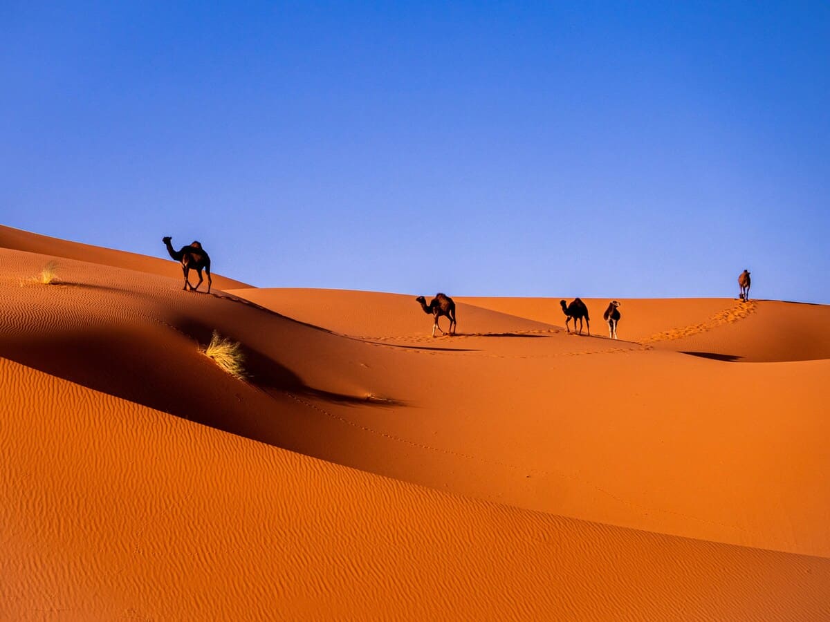 Illustrated cover for Top 10 Tourist Attractions in Morocco: Best Places to Visit and 14-Day Route