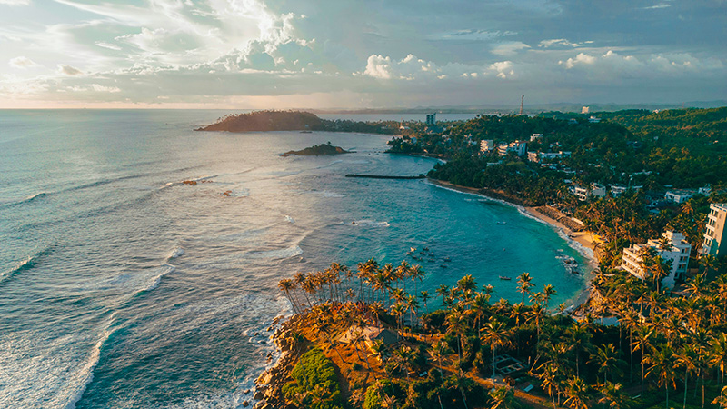 Illustrated cover for Starting Early in Mirissa for Whale Boats, Coffee, and a Better Pace