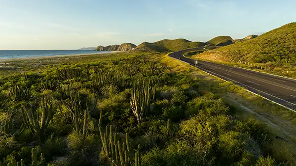 Baja California Sur coast and Los Cabos rock formations