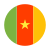 Cameroon flag