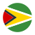 Guyana flag