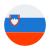 Slovenia flag