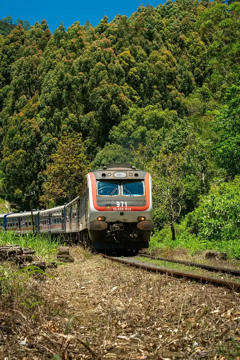 Tren de pasajeros acercándose por una vía rodeada de vegetación en la región montañosa de Sri Lanka