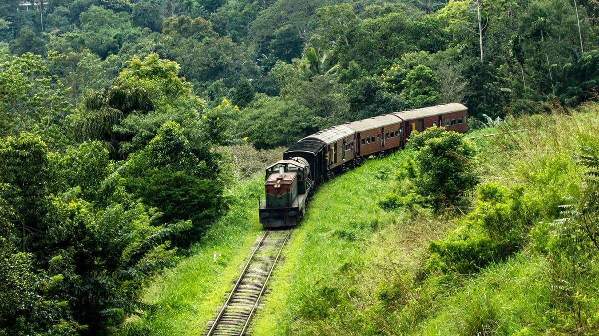 Tren de pasajeros avanzando entre la densa vegetación verde de la región montañosa de Sri Lanka