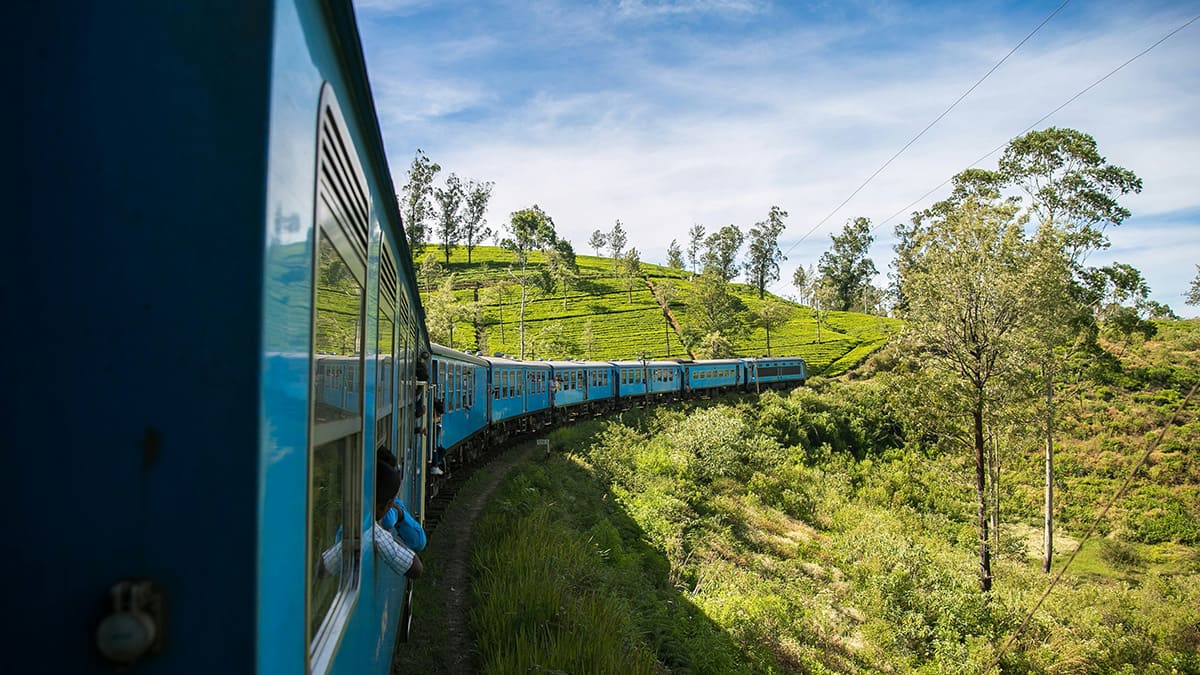 Tren azul de pasajeros de Sri Lanka entre campos verdes de té en la región montañosa