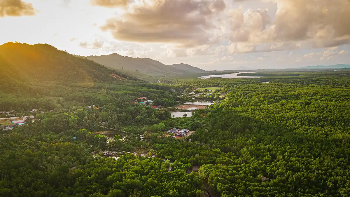 Green forest and coastline scenery on Koh Lanta