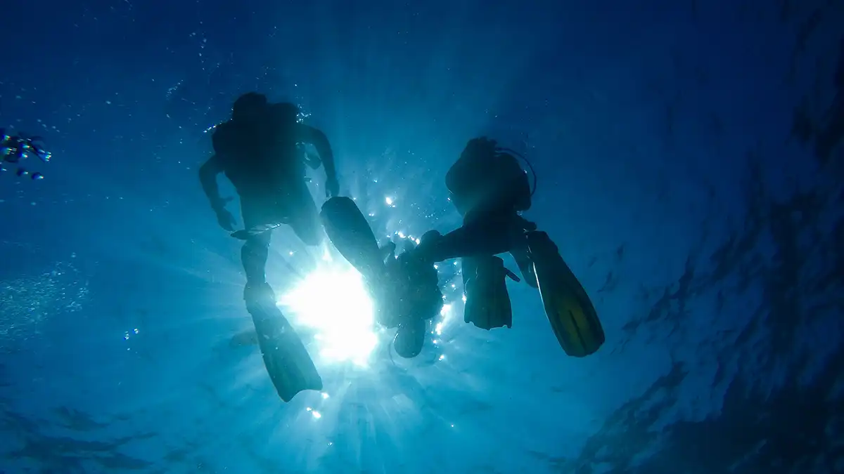 Scuba divers underwater near Koh Tao Thailand