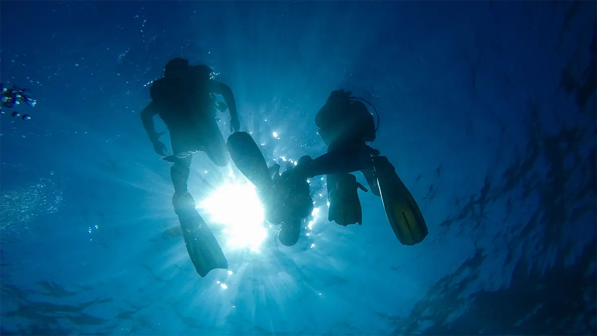 Scuba divers underwater near Koh Tao