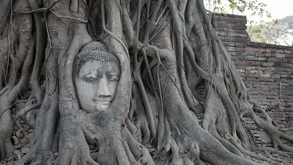 Ayutthaya temple ruins on a Bangkok day trip in Thailand